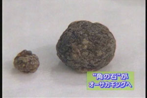 blog200608.n.jpg