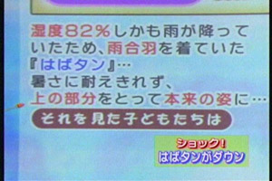 blog20060902q.jpg