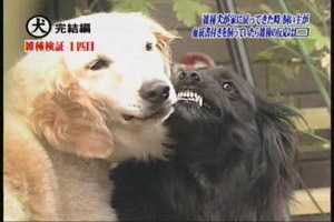 blog20060927,,c.jpg